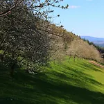아파트 Beilerstaedtle *
