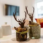 Beilerstaedtle 아파트 오페나우