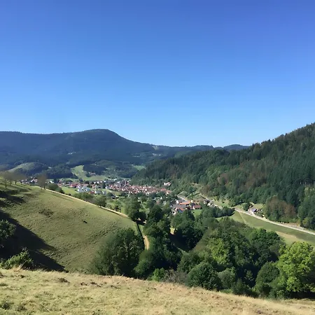 Beilerstaedtle Apartmán Oppenau