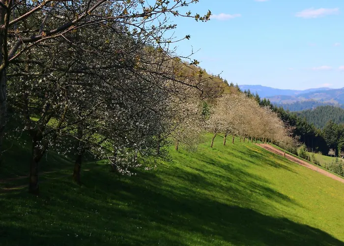 Apartament Beilerstaedtle *